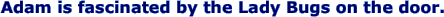 Adam is fascinated by the